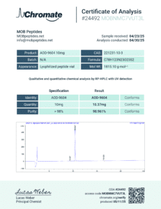 Lab Report