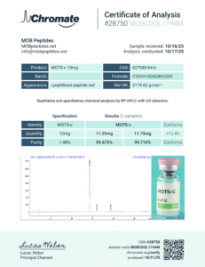 Lab Report