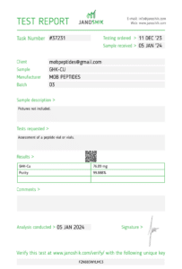 Lab Report