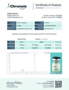 Lab Report