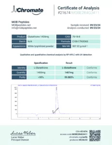 Lab Report Image